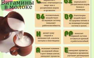 Текст книги «Промышленные технологии производства молочных продуктов»