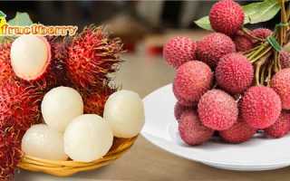 Какие полезные свойства фрукта рамбутан? Какой вред, вкус и калорийность?
