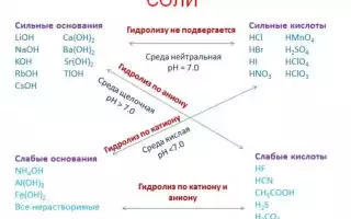 Жиры: строение, химический состав, функции и применение