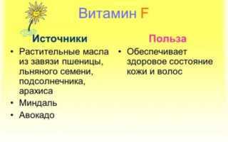 Витамин F. Содержание в продуктах и функции в организме