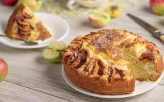 Пышная шарлотка с яблоками – самые вкусные рецепты
