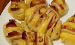 Картошка-гармошка в духовке – рецепты с сыром, беконом, грибами, курицей, колбасой