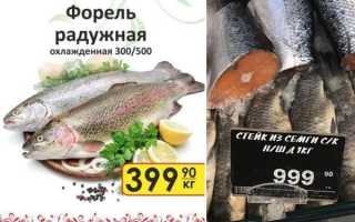 Форель и семга: что лучше, полезные свойства, калорийность