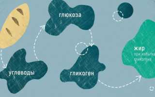 Сахар и сахарозаменители: в чём их польза и главная опасность