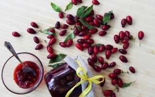 Кизиловое варенье – рецепты полезного лакомства