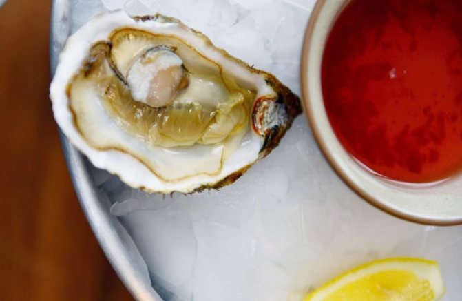 close-up-photo-of-shellfish-Фото автора Anna Tis Pexels