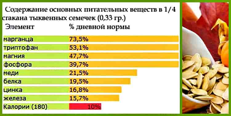 Химический состав тыквенных семечек