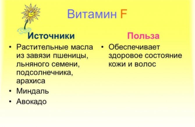 Источники и польза витамина