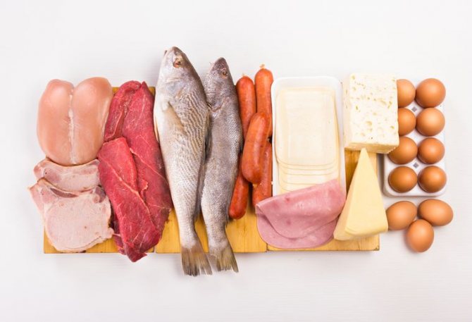 продукты для белковых дней