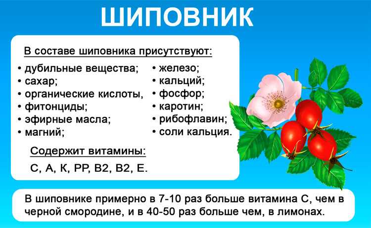 Состав лекарственного растения