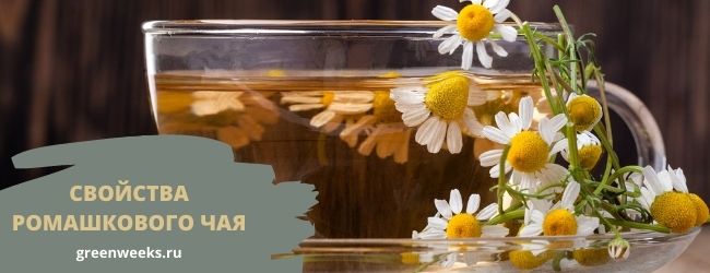 свойства ромашкового чая