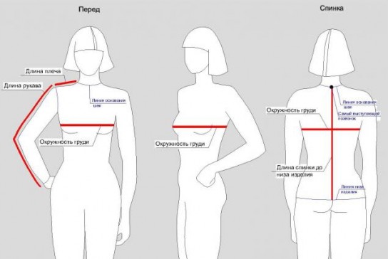 Снимаем мерки