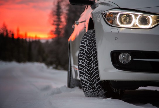 Характеристика и различия сезонных скатов