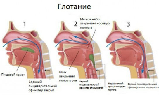 Ком в горле: с чем это может быть связано?