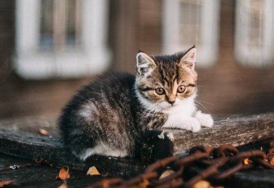 Важные нюансы!