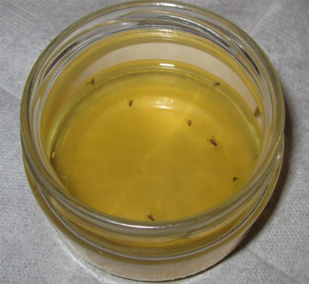 Удаление мошек