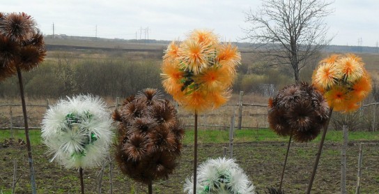 Цветок на ножке