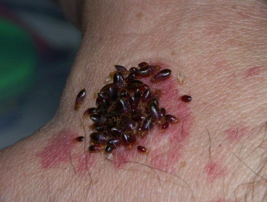 Советы опытных!