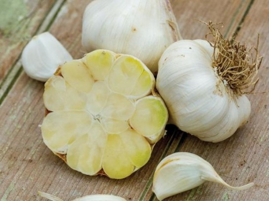 Как правильно посадить чеснок