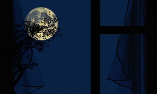 Можно ли выносить мусор вечером