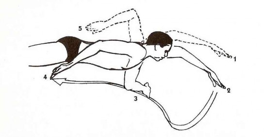 Как правильно плавать кролем