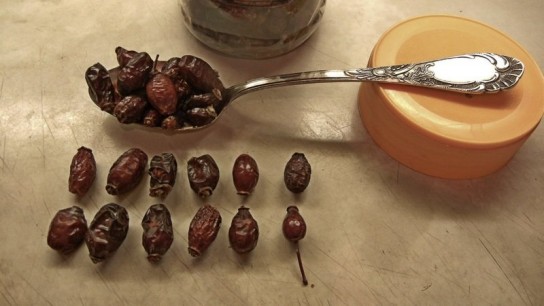 Детский настой шиповника