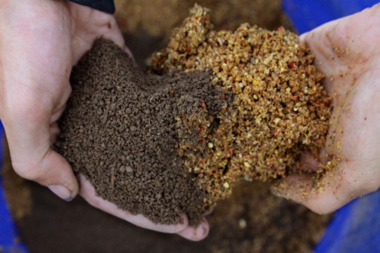 На какое тесто клюёт плотва?