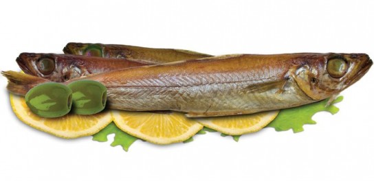 Путассу: не забываем о противопоказаниях