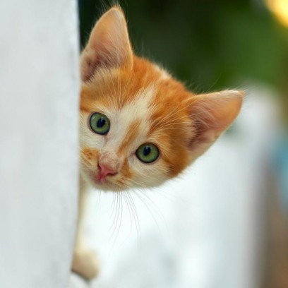 Когда пора обратится к врачу?