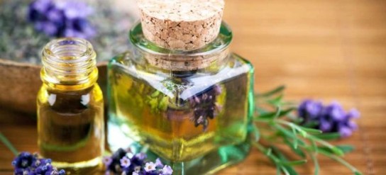 Какие масла следует применять в лечении педикулеза?