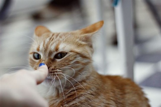 Причины подобного состояния