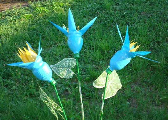 Экзотические магнолии