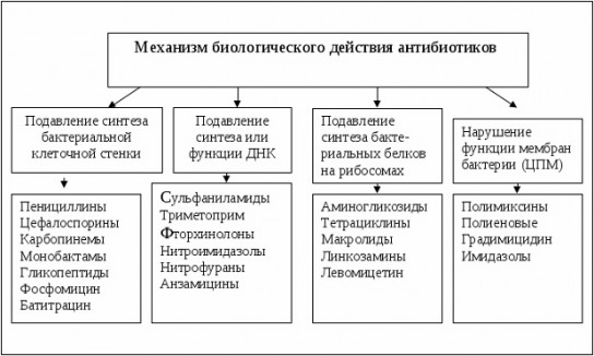 В каких случаях назначают антибиотики и противовирусные препараты?