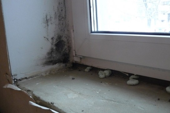 Причины появления плесени на откосах пластиковых окон