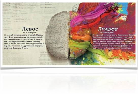 Как развивать правое полушарие?