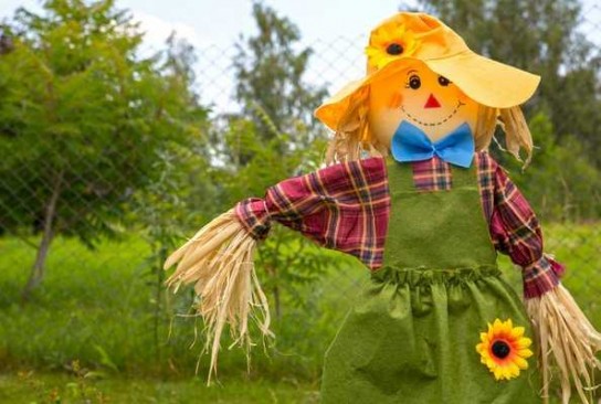 Изготовление чучела для сада и огорода своими руками