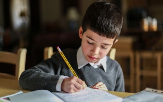 Как контролировать выполнение уроков?