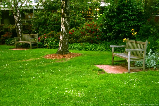 Время посева