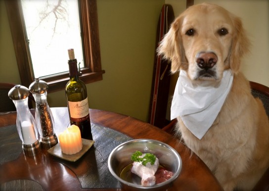 Чем не следует кормить собаку?