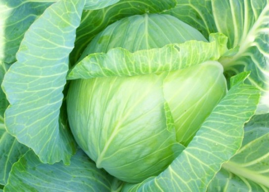 Народные методы избавления от шишек