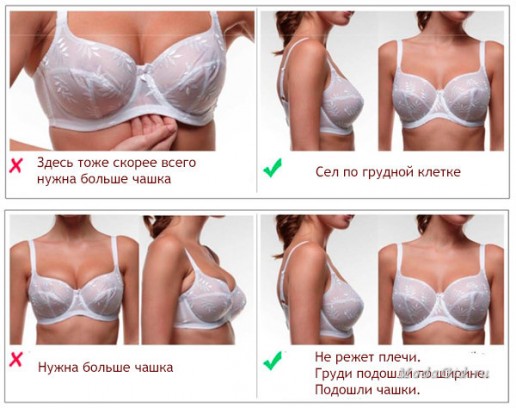 Как носить бюстгальтер?