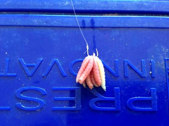 Связать их в пучок