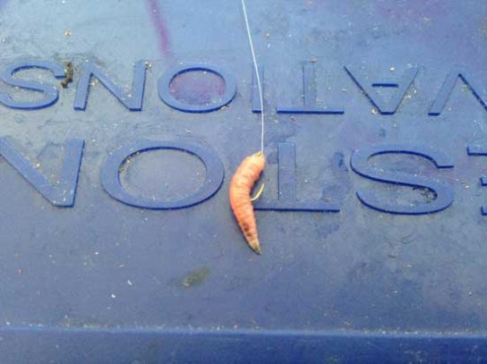 Заарканьте его