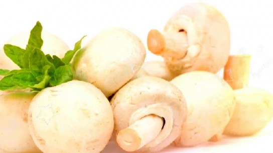 Грибы на столе