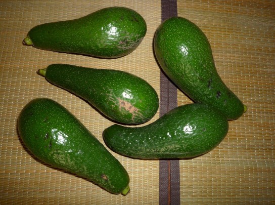 Экзотическое лакомство