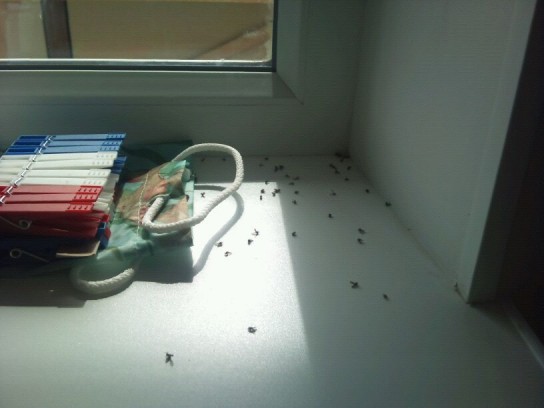 Полезные советы