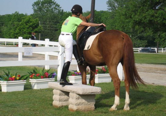 катание на лошади