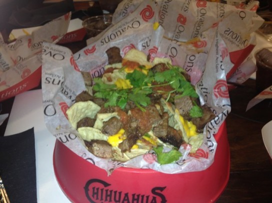 Как правильно кормить чихуахуа