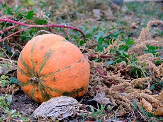 Правила хранения