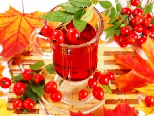 Лечебный отвар